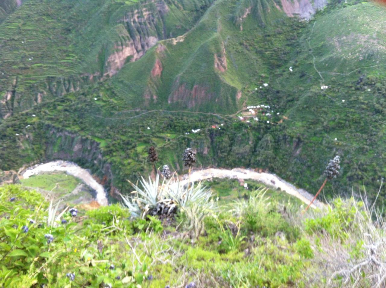 Tapay Posada Gloria旅舍 外观 照片